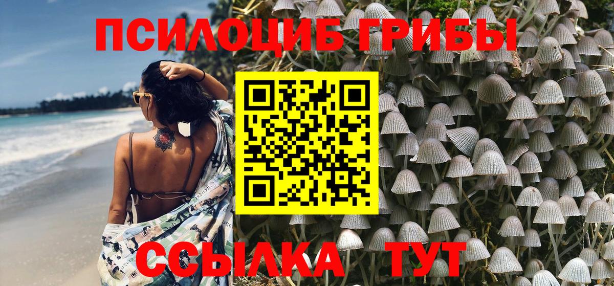 Ревда  Галлюциногенные грибы MAGIC MUSHROOMS  Вход с VPN 